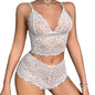 WOMEN'S FRENCH LACE DEEP V BRA & PANTY SET